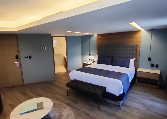 Alia Boutique Wtc 4* Mexico City